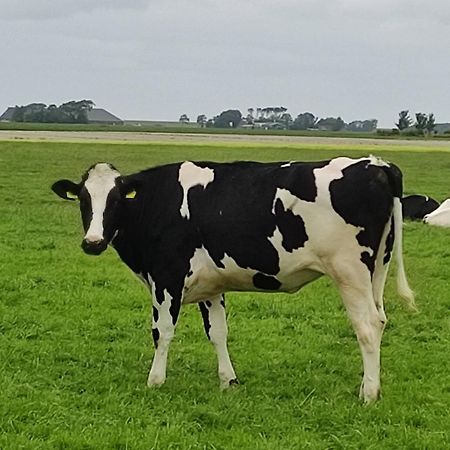 In Het Mooie Friesland Vele Bezienswaardigheden Hantum Bagian luar foto