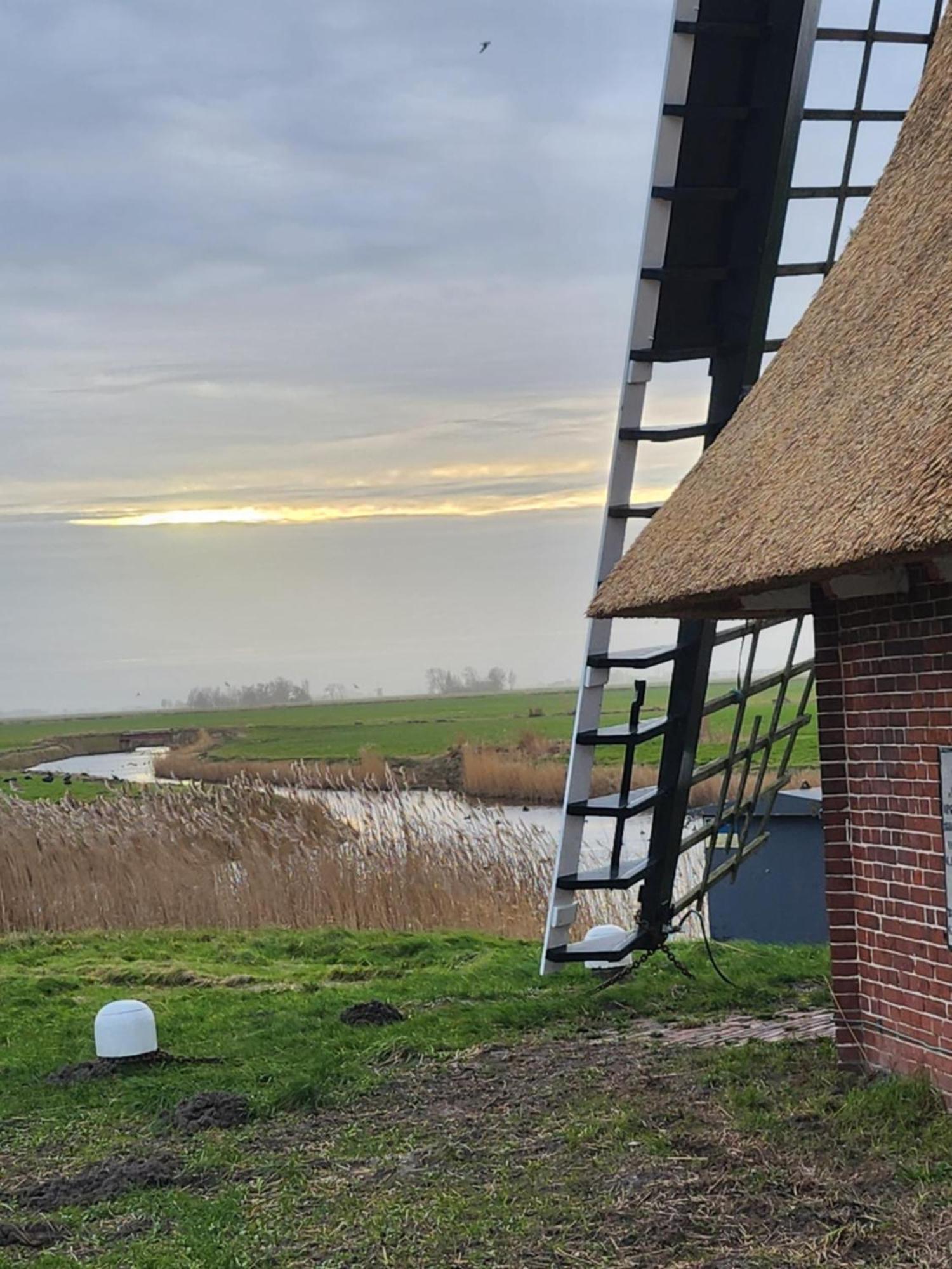 In Het Mooie Friesland Vele Bezienswaardigheden Hantum Bagian luar foto