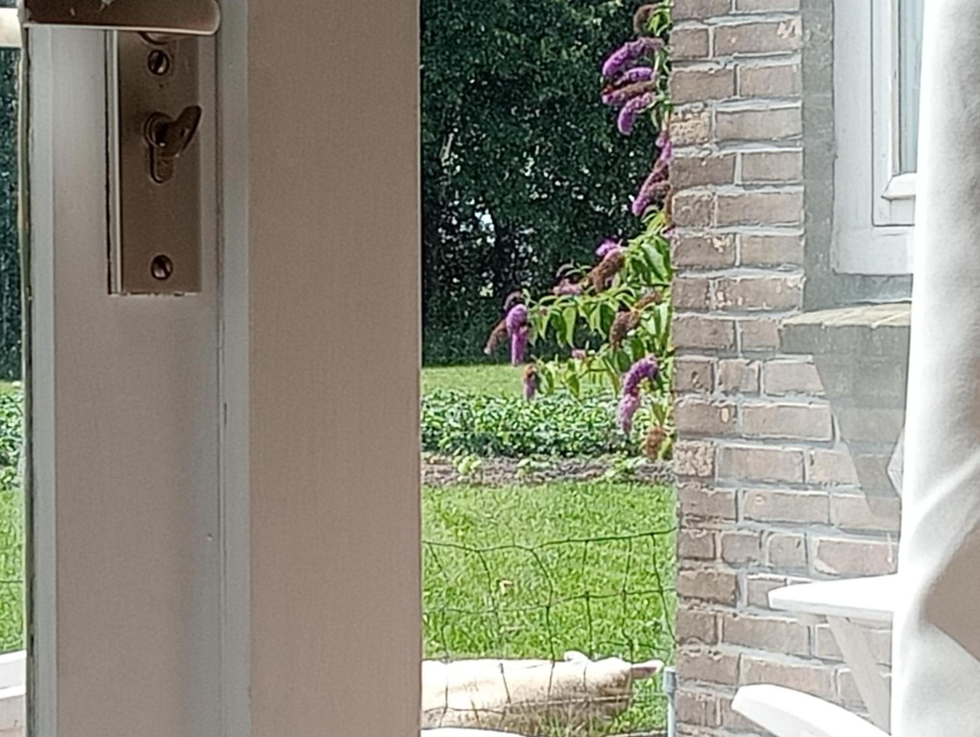 In Het Mooie Friesland Vele Bezienswaardigheden Hantum Bagian luar foto